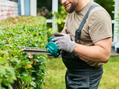 Caucasian young adult male gardener trimming green hedge with electric trimmer. Image represents professional landscaping services and is suitable for home improvement marketing