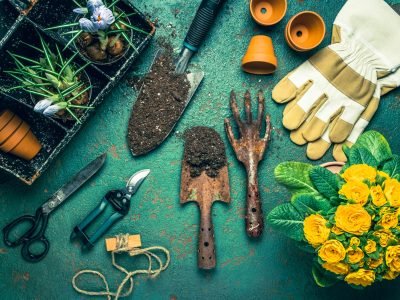 Spring gardening concept - gardening tools with plants, flowerpots and soil